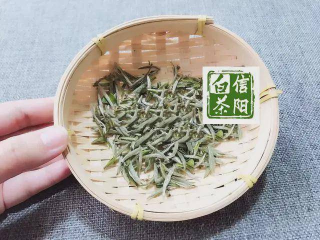 茶叶|信阳白茶与信阳黄茶是怎样诞生的