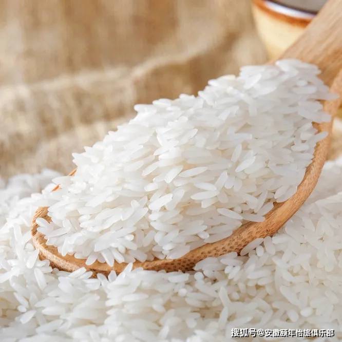 葡萄糖|不吃主食就能降血糖?长期以往可能会对身体有害