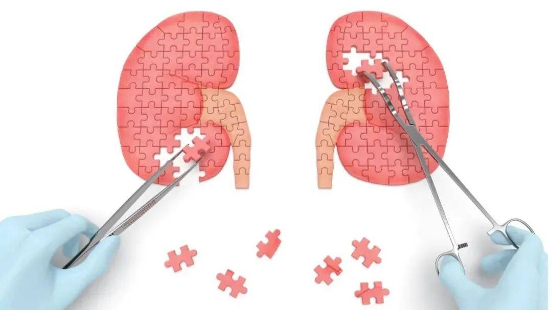 腎臟|患了慢性腎炎，飲食中什么不能吃？怎么調養？