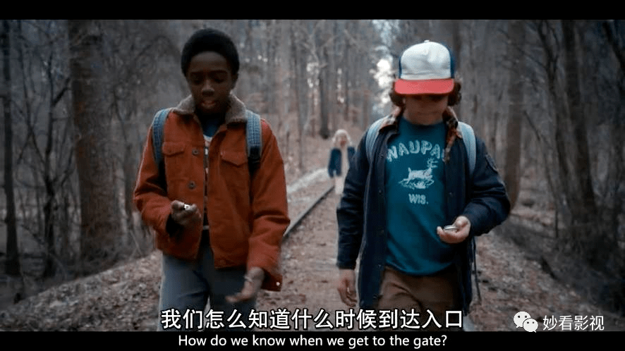 The|大量致敬80年代作品的奇幻剧——《怪奇物语第1季》