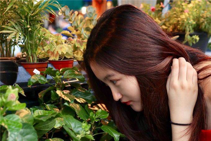 曾嫌弃她颜值低,今逆袭成女神认不出_陆子艺