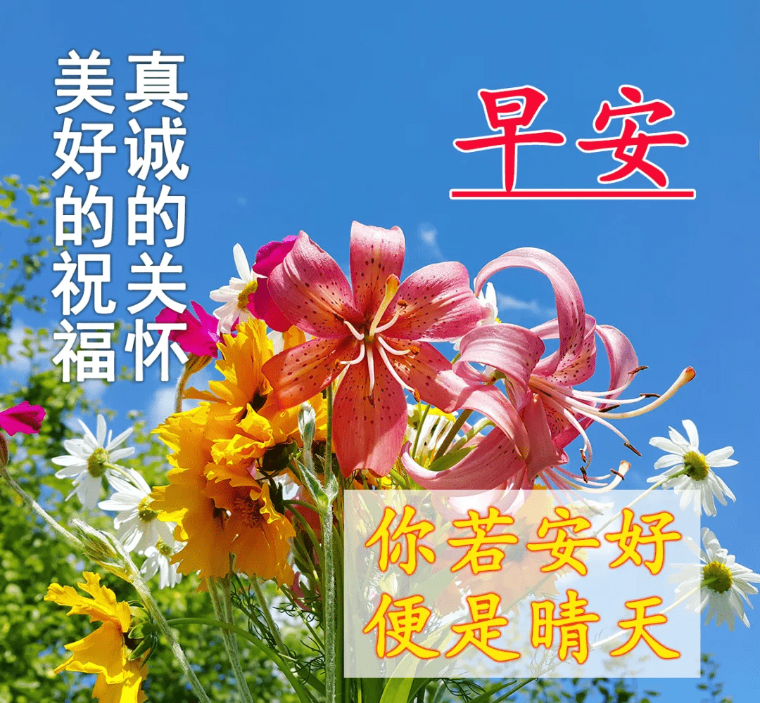 早上好漂亮的動圖祝你幸福又平安健康每一天