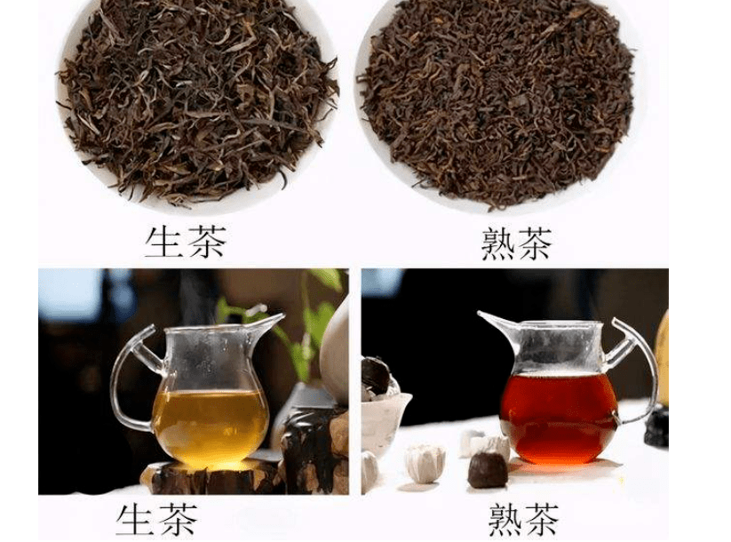 普洱生茶和熟茶有何不同入门者该如何分辨从哪种茶先喝起