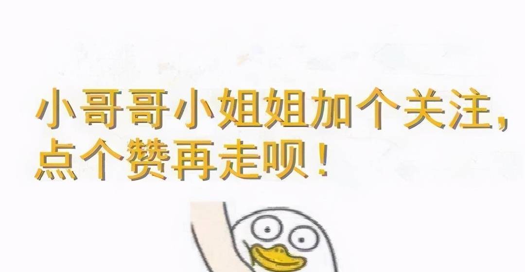 名字资深铲屎官建议：新手养猫，千万不要养这5种猫