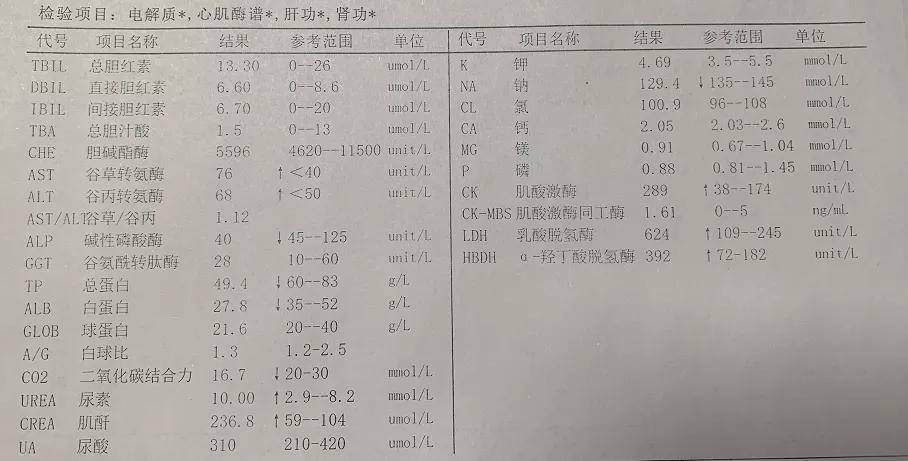 综合征|31岁小伙高烧不退以为是肠胃炎 竟是流行性出血热