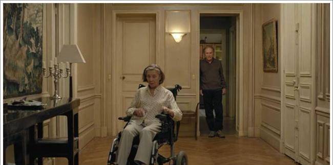 鸽子|电影《爱》带你洞见爱情最后的样子