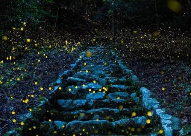 成都学摄影，从小白入门到优秀，摄影师必须经历的五个阶段！