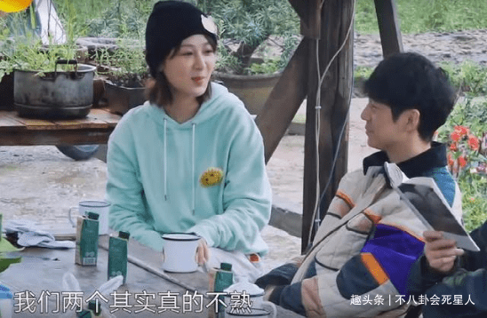 现实|杨紫一人录三期,11个小艺人录一期,《向往》揭露红与不红的现实