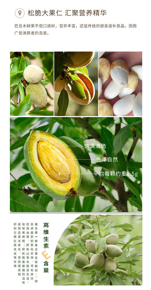 河北种植巴旦木前景怎样巴旦木种植效益如何