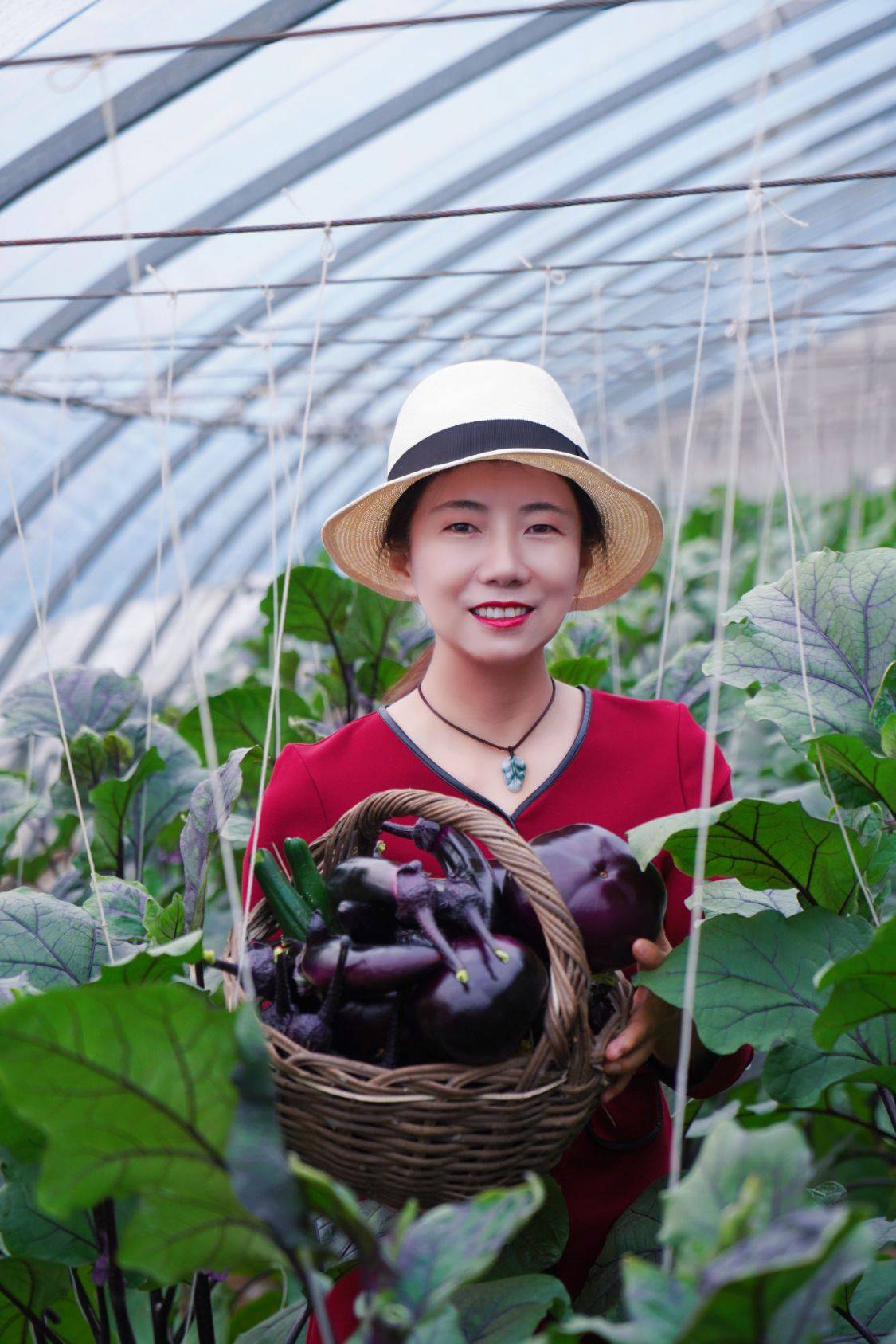 冬季京郊游玩新方式住民宿可免费采摘有机蔬菜和草莓