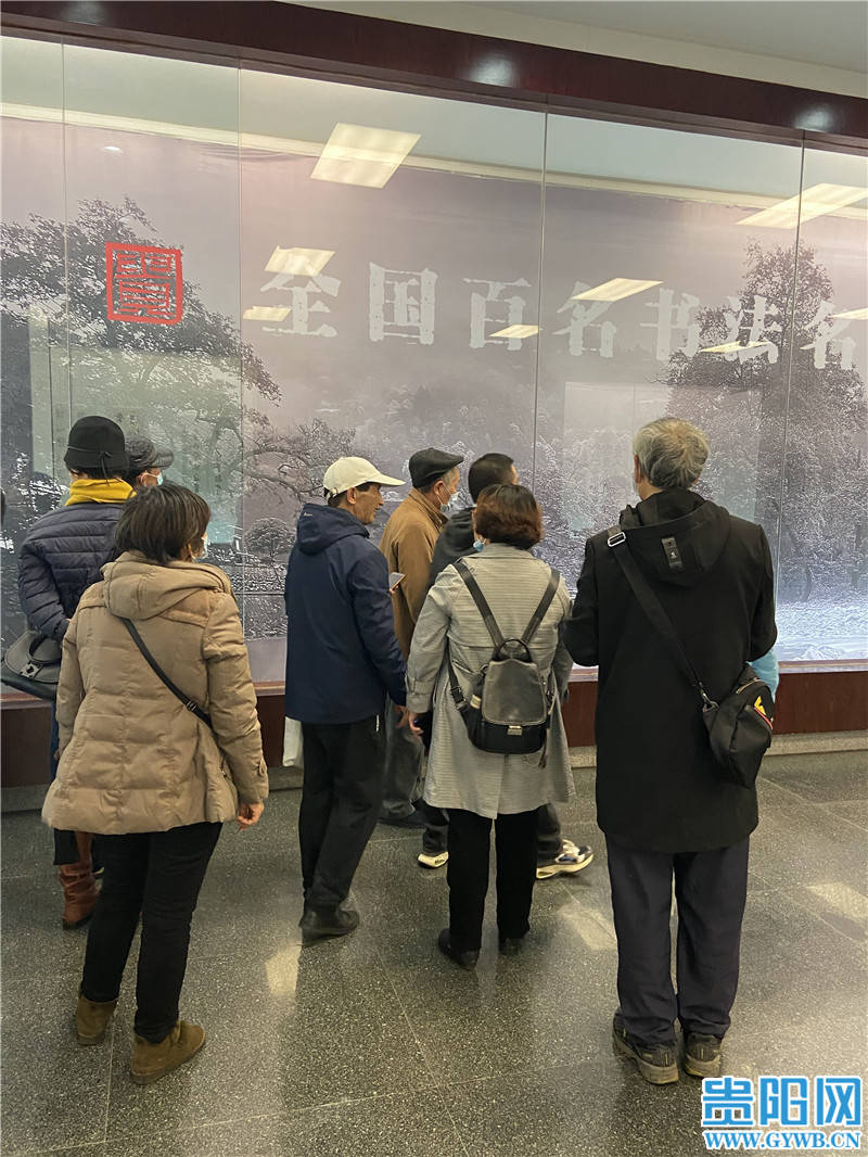 书法|全国百名书法名家写贵州邀请展获观众点赞