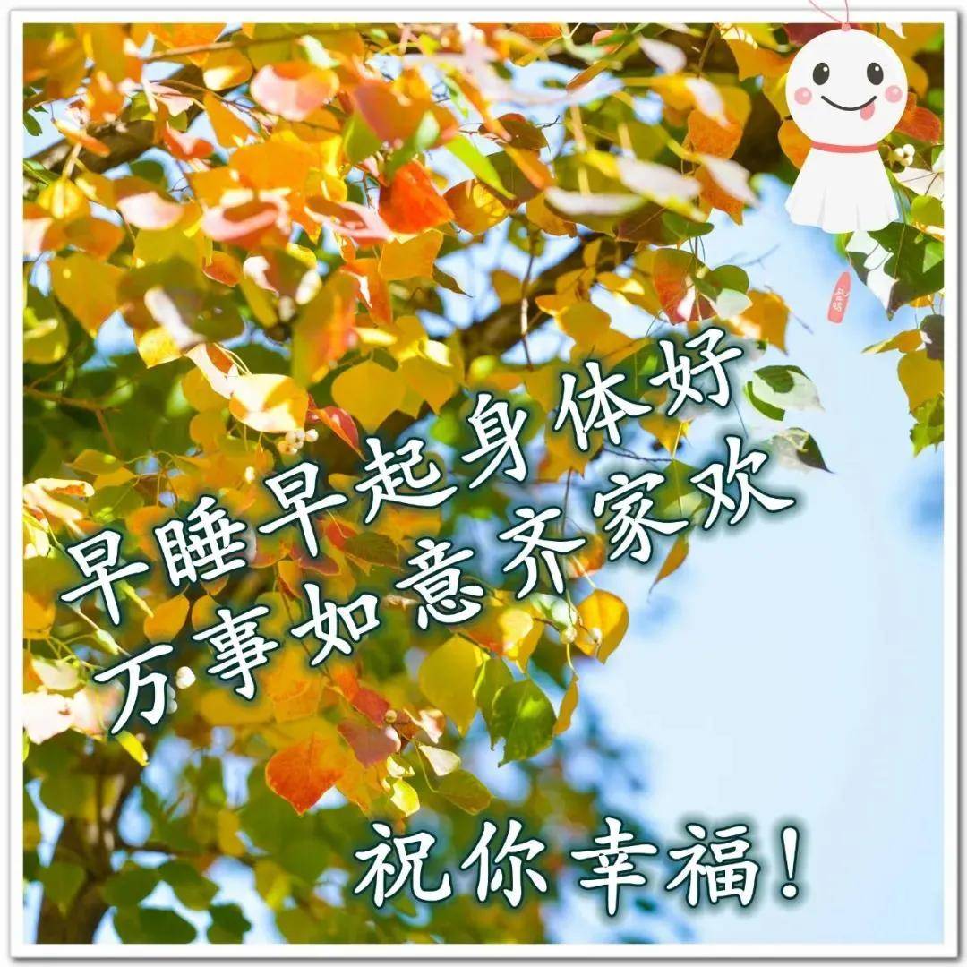 8,云淡风轻,随意放飞美丽心情!诗情画意,爱心在阳光下沐浴!
