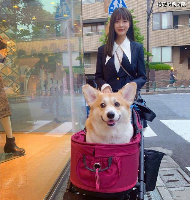 作用 30岁沈梦辰晒美照，穿西装搭百褶裙长腿逆天，171身高比例太出挑