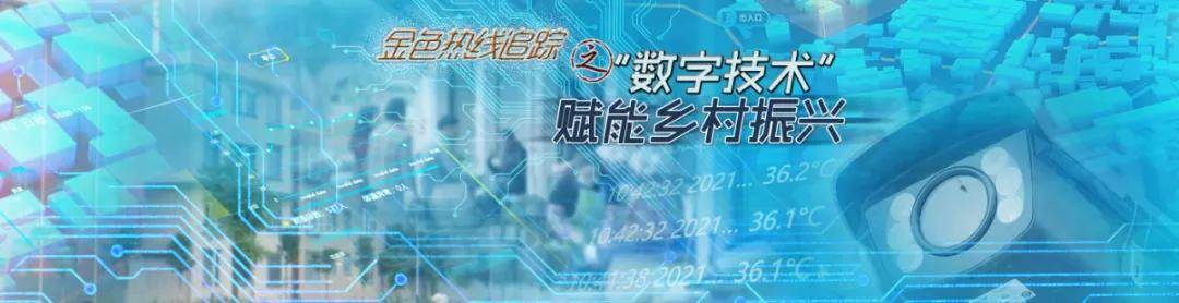 偷盗？乱扔垃圾？不存在的！摄像头全天候监控，这个平台已覆盖803个乡村！