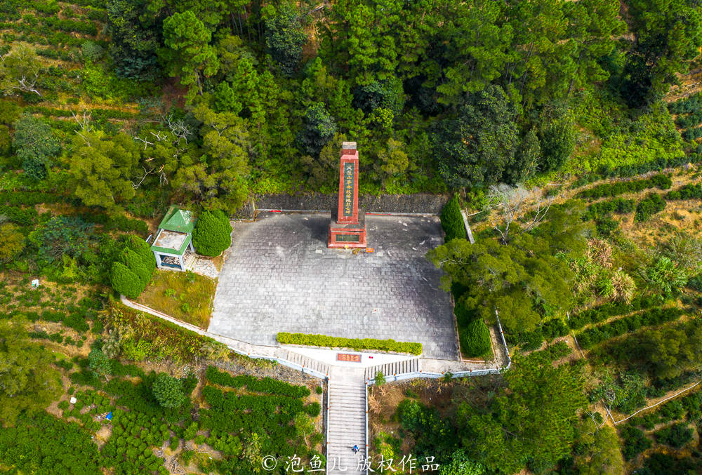 凤凰|潮州“刘胡兰”，12岁当交通员送情报，牺牲时年仅16岁