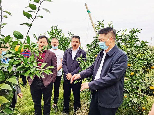 廉江书记到塘蓬镇调研:立足资源优势,抓好产业发展,加快乡村振兴
