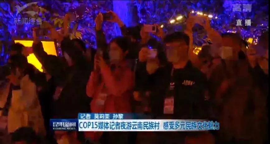 文化|云南“再造”500亩、2.3公里的行浸式夜间民族村，光影夜游乐园