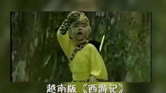 国产|那些被越南糟蹋过的国产剧