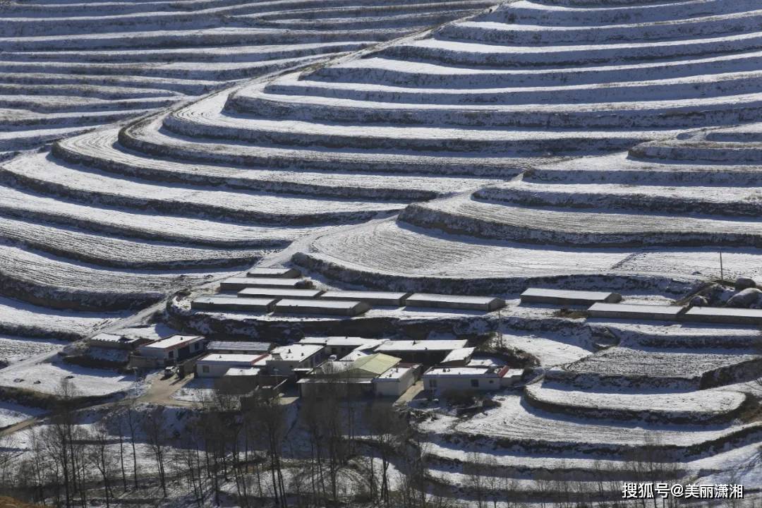 时节|今日小雪，可饮一杯无？