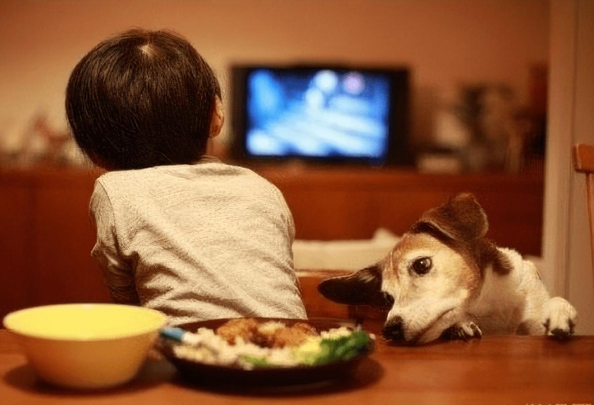 体型|宝宝越胖越可爱?肥胖的危害家长需警惕!