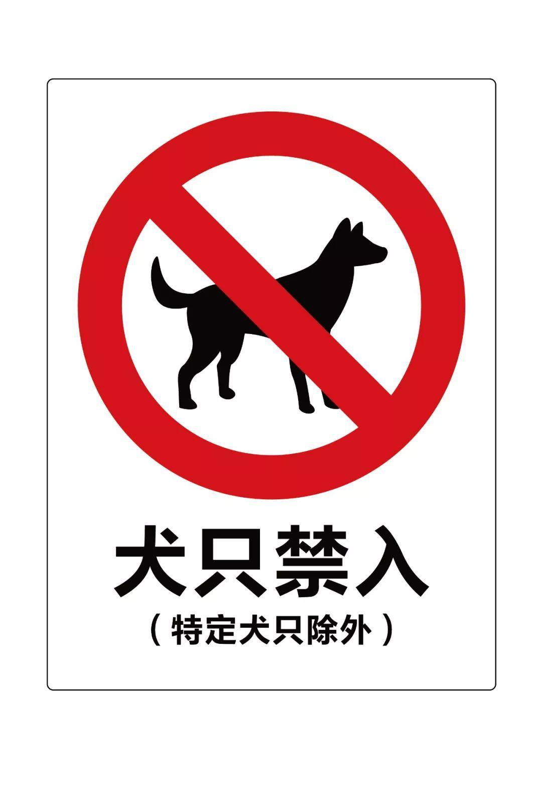 文明养犬小课堂佛山犬主遛狗时这些地方不能去