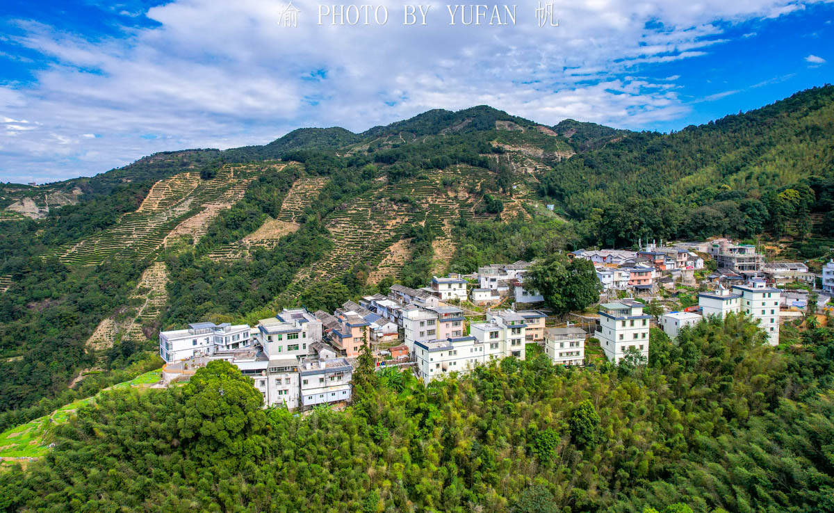 叶子而|藏在粤东大山里的世外桃源，形如山中半岛，村民因一片叶子而致富