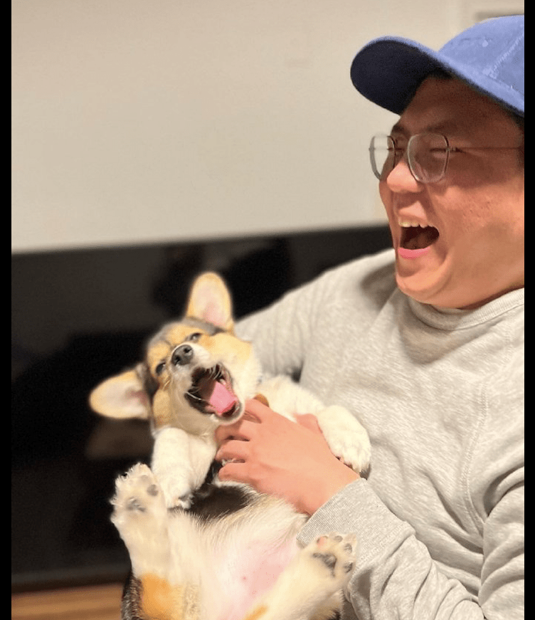 视而不见男主人抱着柯基撸狗，他们的表情有着鲜明对比，原谅我不厚道笑了