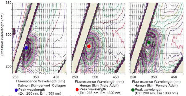 分析分光光度计检测皮肤中的胶原蛋白