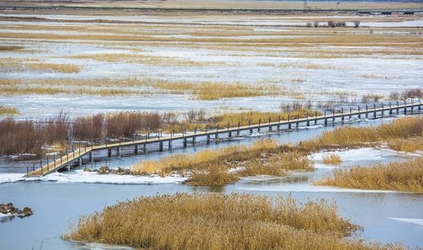 满洲里有一座湿地公园，位于中俄边境，立有我国唯一一座水陆界碑