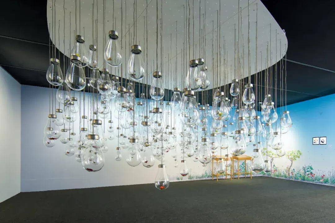 Abdul|上海西岸艺术博览会｜流淌进每一滴珍酿里的，都是大自然的艺术