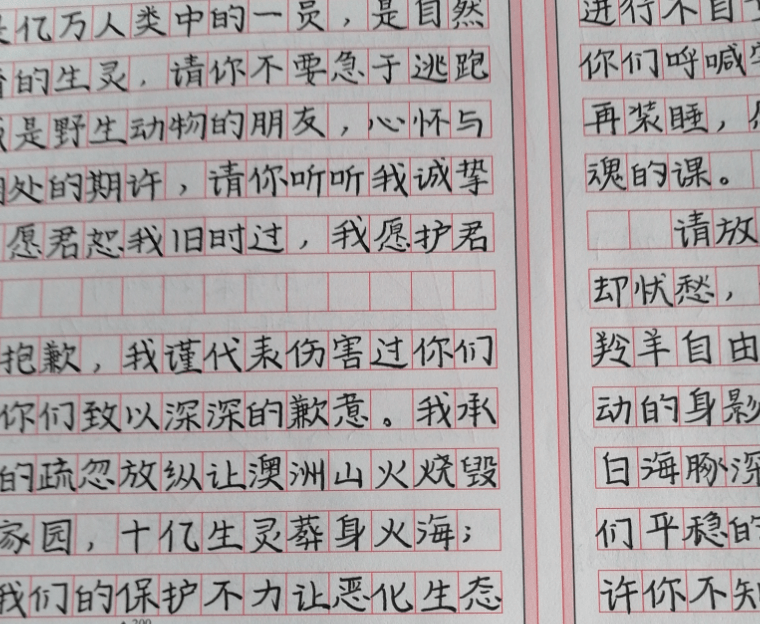 它是一種適應中高考而興起的書寫規範的字體,這種文