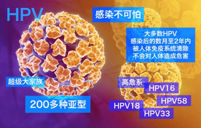 男人怎么查hpv是否感染 5cefc4d766b04d899cfb919f22881699.png