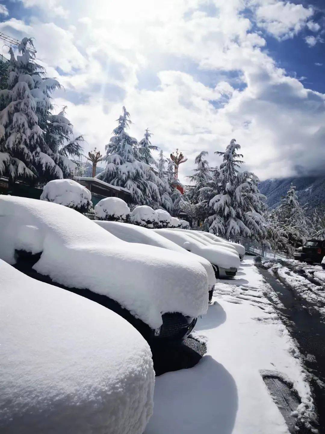 木格措雪景图片