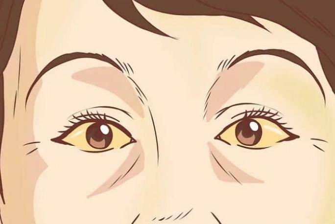 治疗|人体中常见的疾病