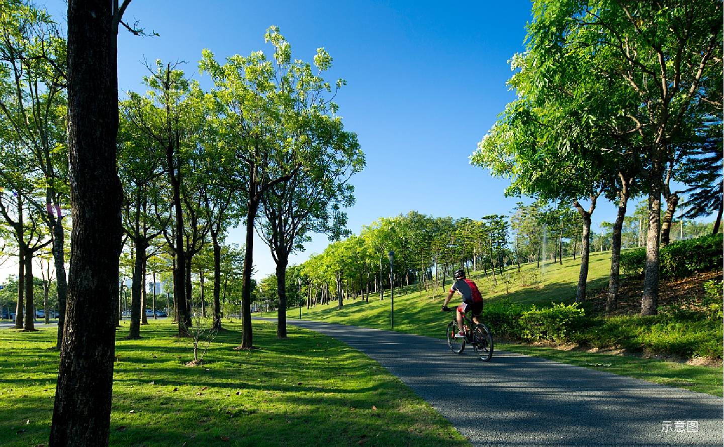 享公园绿意环伺,公园绿地在城市中心宝安公园 | 灵芝公园 | 流塘公园