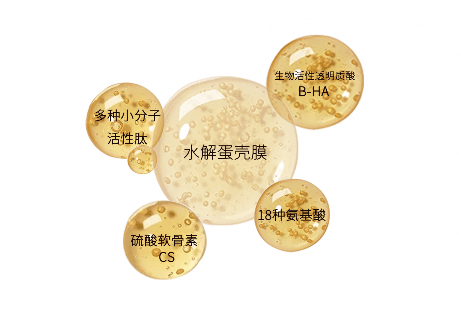 国货新标杆 ——哈尚美蛋膜肽