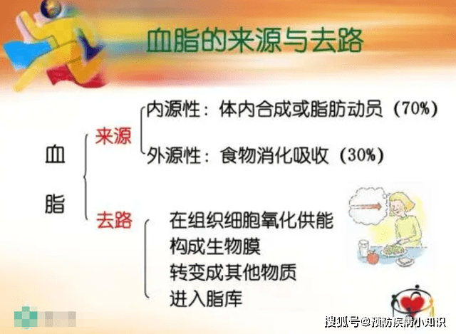 "甘油三酯大户"被揪出,医生提醒:能不吃就不吃,别不听劝_血管_血脂