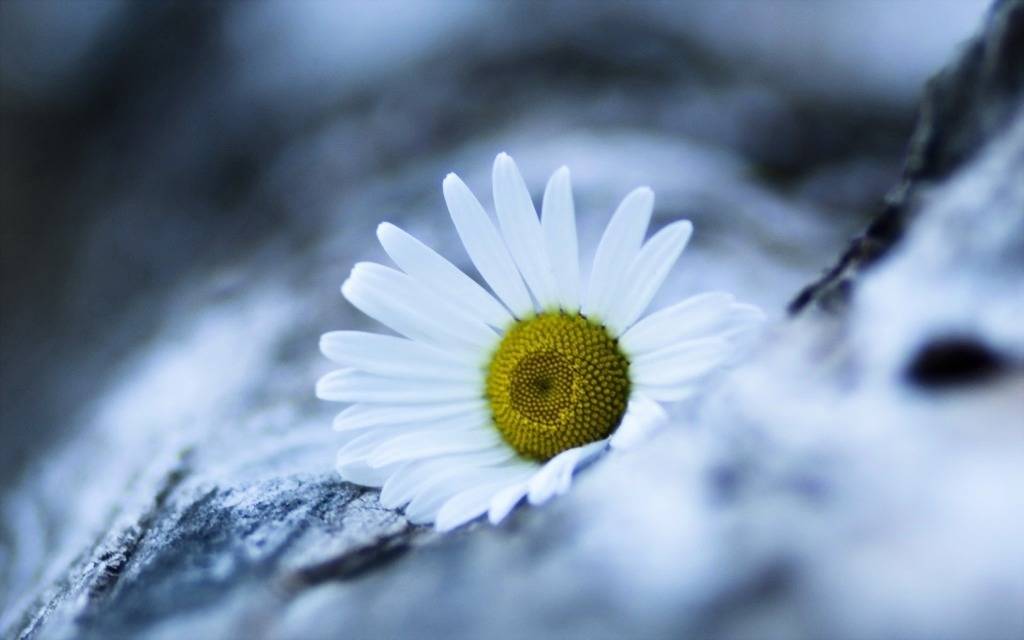 害怕失去的恐惧,有时候会让你选择离开.