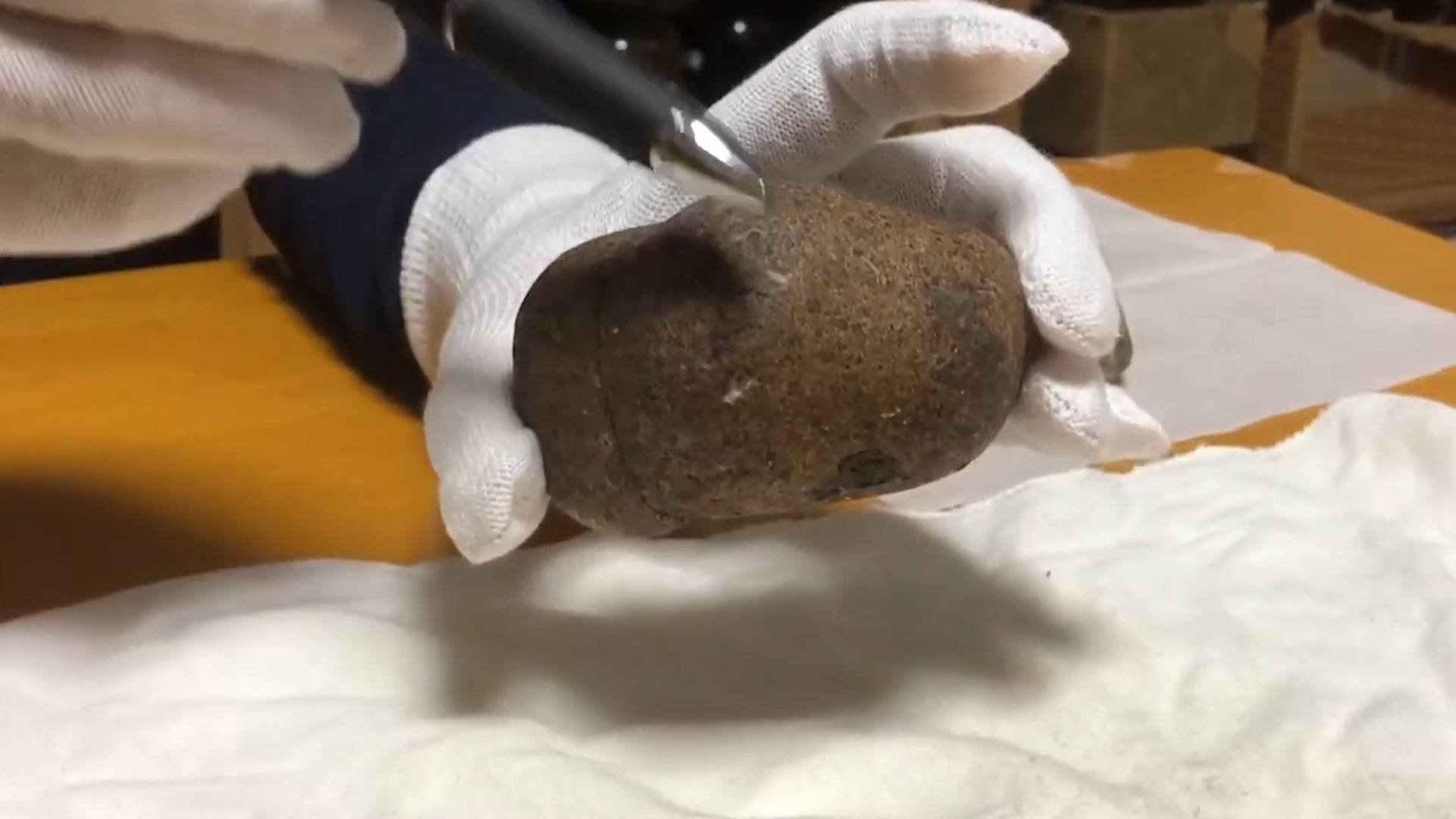 原创奇特的抹香鲸的"粪便",被人类做成香水,为何它比黄金还贵?