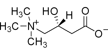 氧化|具有减肥作用的左旋肉碱真的安全有效吗？