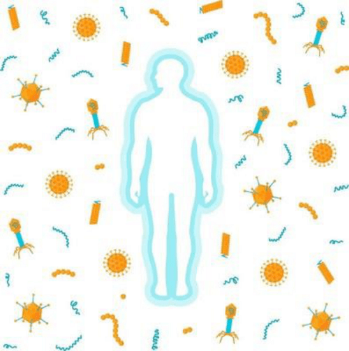 用户|科治好：张文宏教授谈到85岁才算长寿，“免疫”是长寿的关键