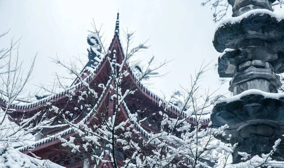 一下雪，杭州就美成了临安！