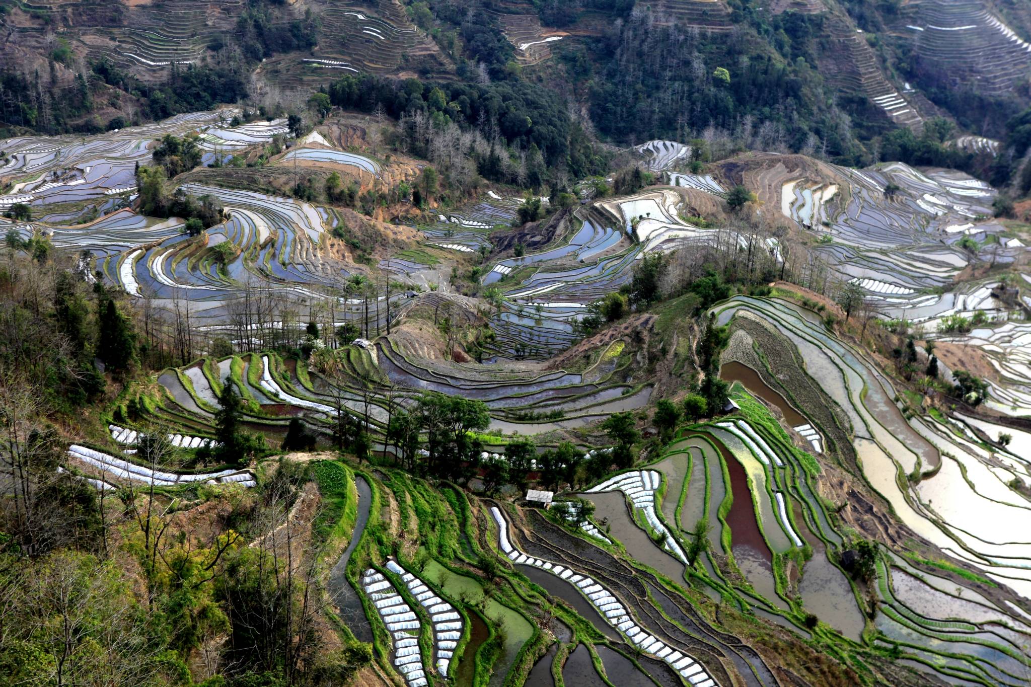 哀牢山,这个名字听起来似乎充满了伤感,它实际上得名于"古哀牢国",这