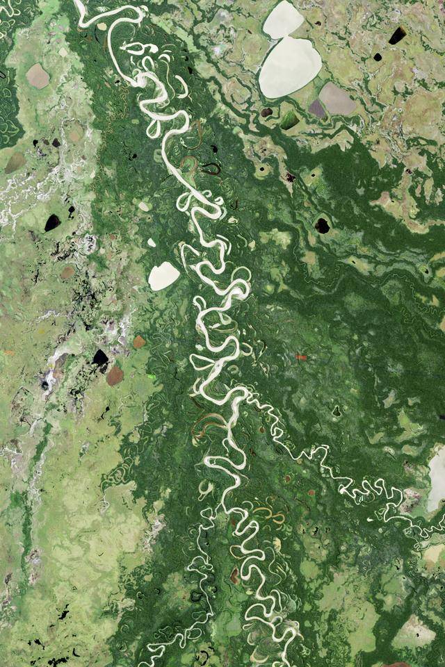 亚马逊河与长江相比牛在哪里？为什么说它可怕，没人敢下河游泳？