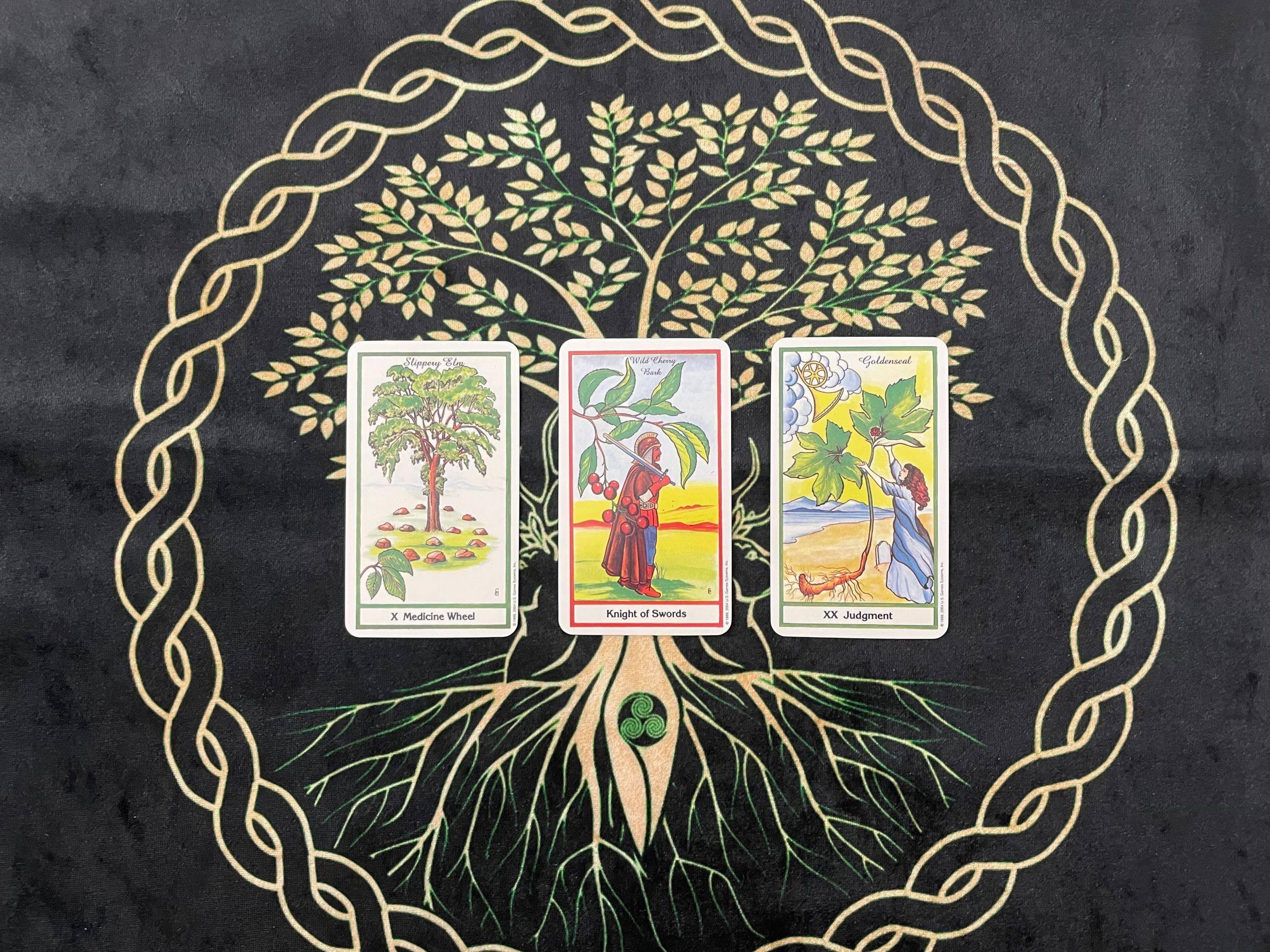 原创花梦塔罗处女座12月上半月复合运势主动表达不再迟疑