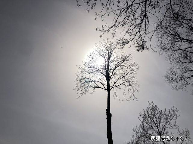 18dc3ba1a51249dc977bc1683a2a708d.jpeg