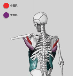 49ea63901f274bc29869e8286a4c77e3.png