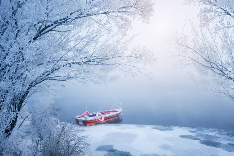 冰雪|去哪看雾凇？昙花一现的冰雪世界，像梦境一般