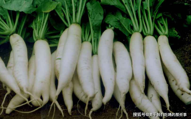 7a433d75efd84015aeb9049c4b8c0e53.png