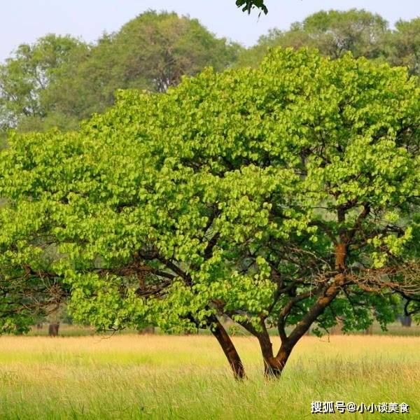 12月中旬开始,好运连连,事事顺遂,生活富足的4大星座!_事业_财富_都能